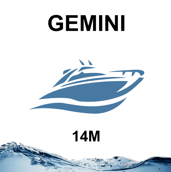 Gemini 14M